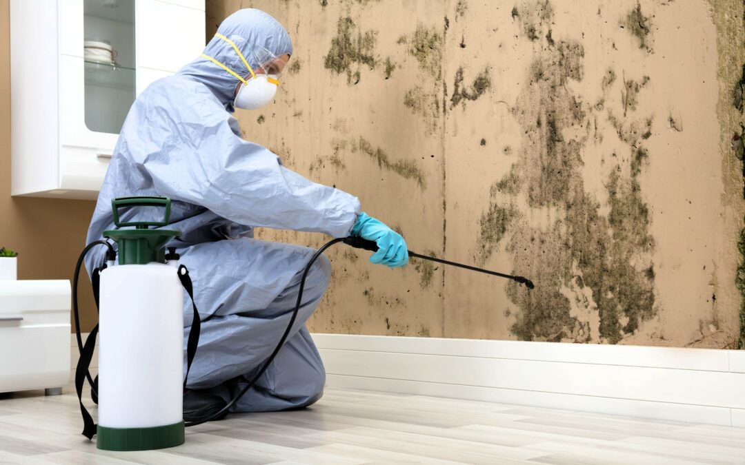 When Is Mold Remediation Required