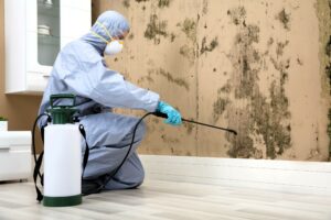 what do professionals use for mold remediation