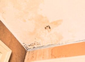 how to repair water damaged drywall